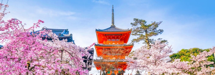 japan-d5