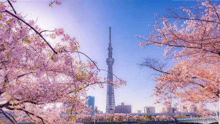 Day-3-japan-korea