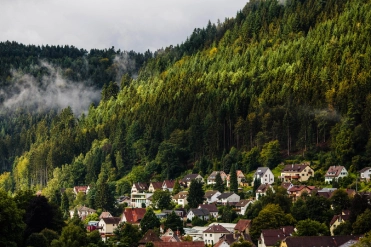 glance-of-europe-Day 6 black forest